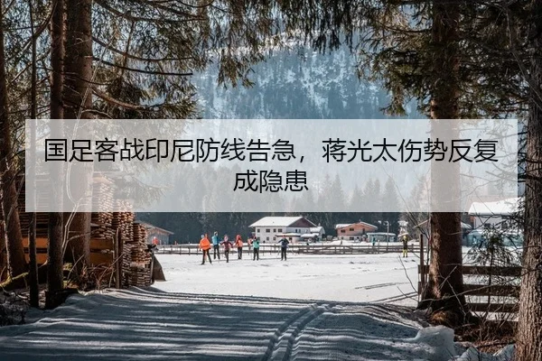 国足客战印尼防线告急，蒋光太伤势反复成隐患 - PG